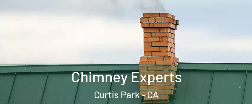 Chimney Experts Curtis Park - CA