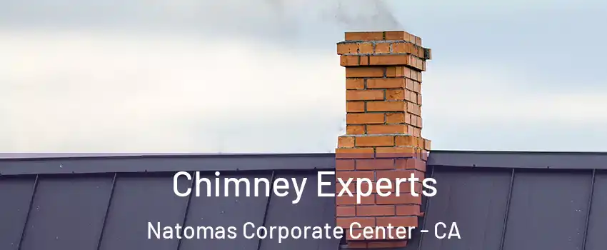 Chimney Experts Natomas Corporate Center - CA