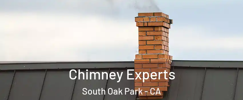 Chimney Experts South Oak Park - CA