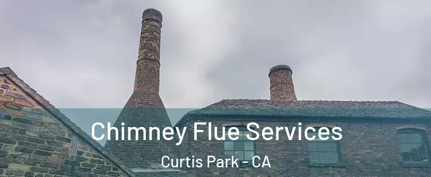 Chimney Flue Services Curtis Park - CA