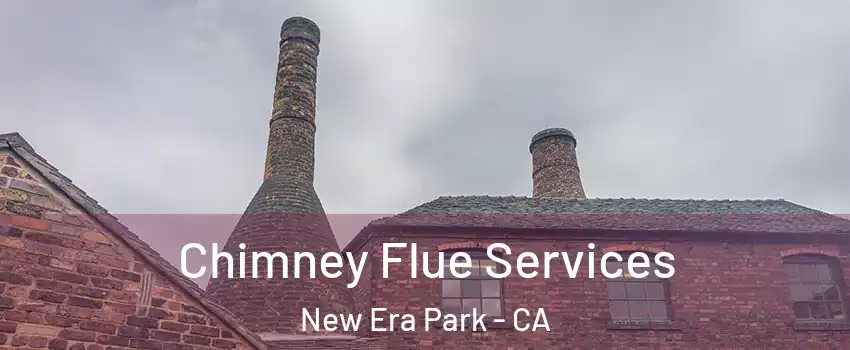 Chimney Flue Services New Era Park - CA