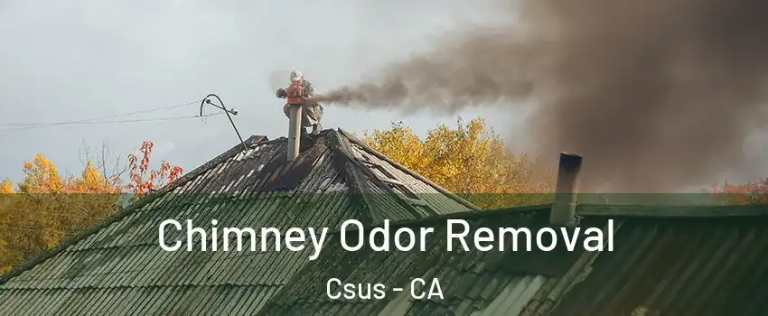 Chimney Odor Removal Csus - CA