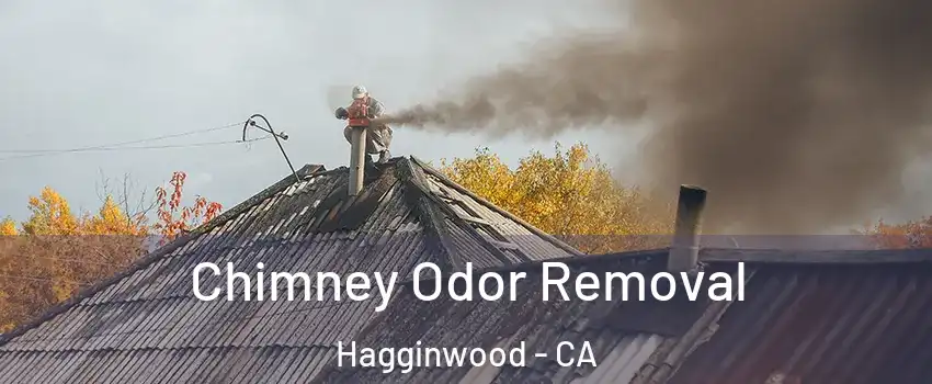 Chimney Odor Removal Hagginwood - CA