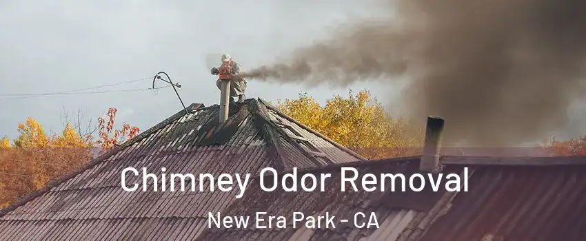 Chimney Odor Removal New Era Park - CA