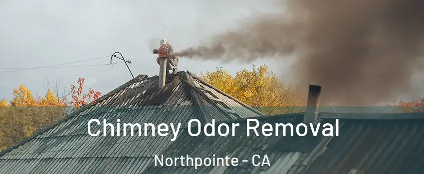 Chimney Odor Removal Northpointe - CA