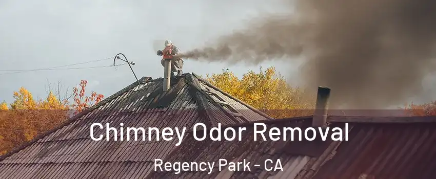 Chimney Odor Removal Regency Park - CA