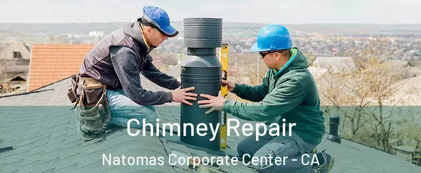 Chimney Repair Natomas Corporate Center - CA