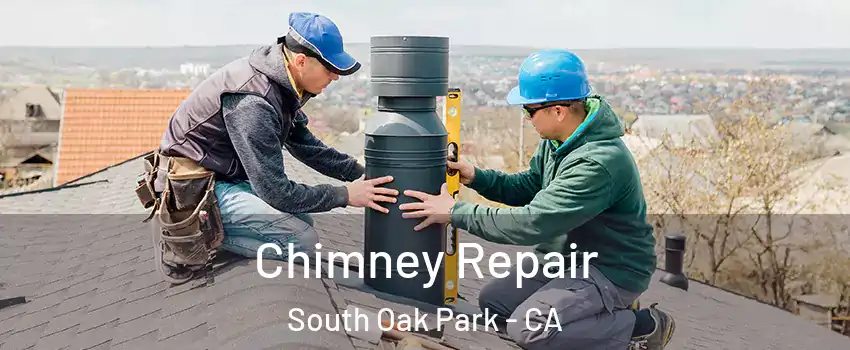 Chimney Repair South Oak Park - CA