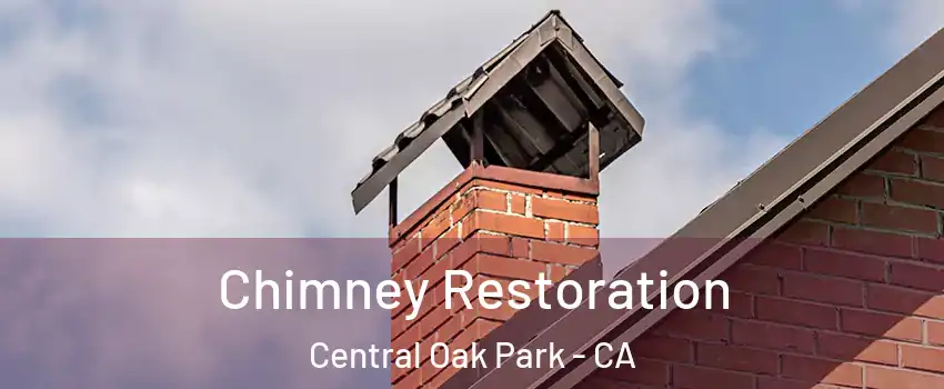 Chimney Restoration Central Oak Park - CA