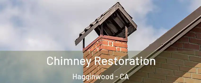 Chimney Restoration Hagginwood - CA