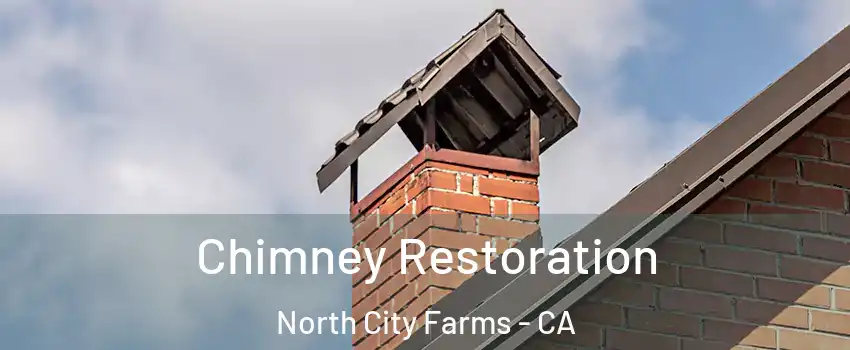 Chimney Restoration North City Farms - CA