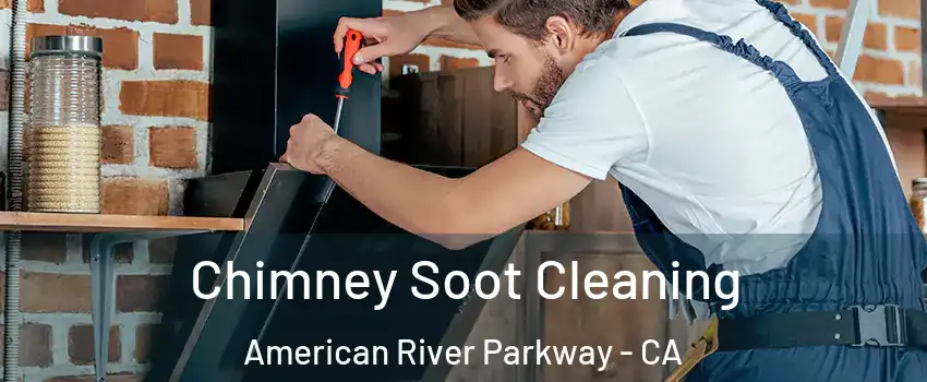 Chimney Soot Cleaning American River Parkway - CA