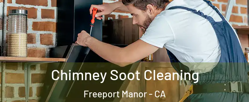 Chimney Soot Cleaning Freeport Manor - CA