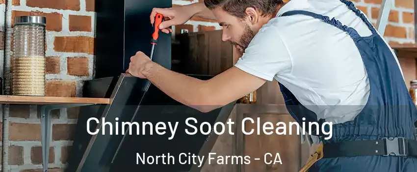 Chimney Soot Cleaning North City Farms - CA