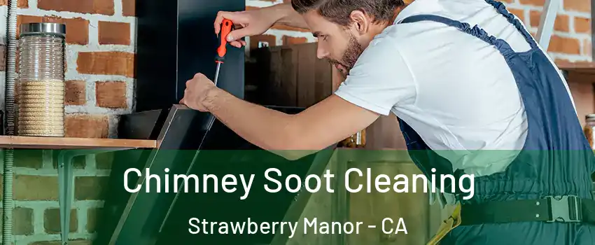 Chimney Soot Cleaning Strawberry Manor - CA