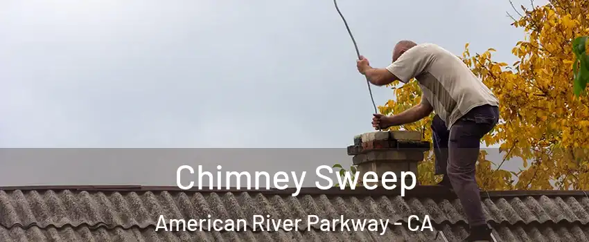 Chimney Sweep American River Parkway - CA