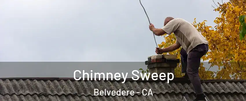 Chimney Sweep Belvedere - CA