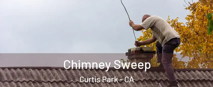 Chimney Sweep Curtis Park - CA