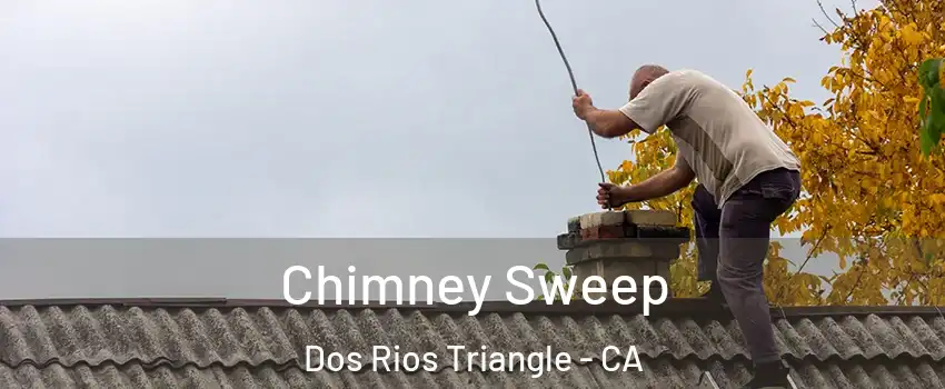 Chimney Sweep Dos Rios Triangle - CA