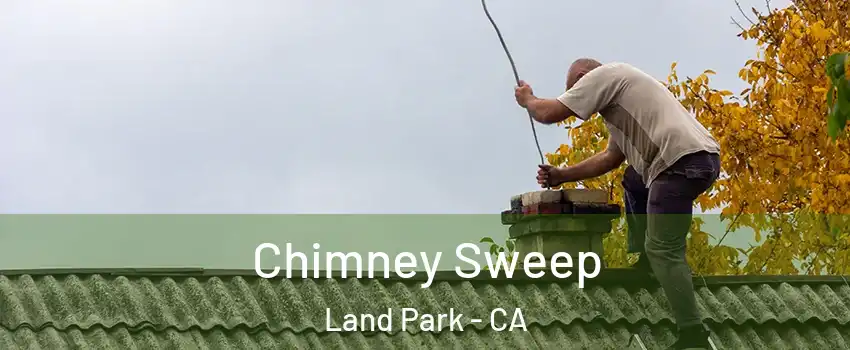 Chimney Sweep Land Park - CA