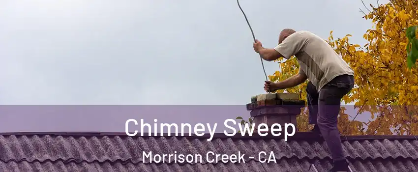 Chimney Sweep Morrison Creek - CA