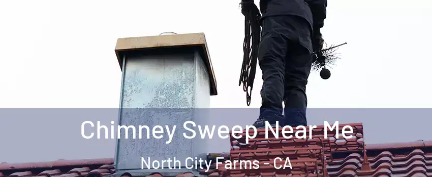 Chimney Sweep Near Me North City Farms - CA