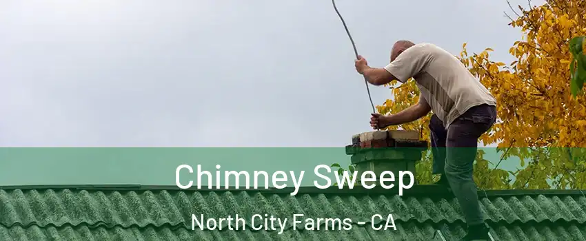 Chimney Sweep North City Farms - CA