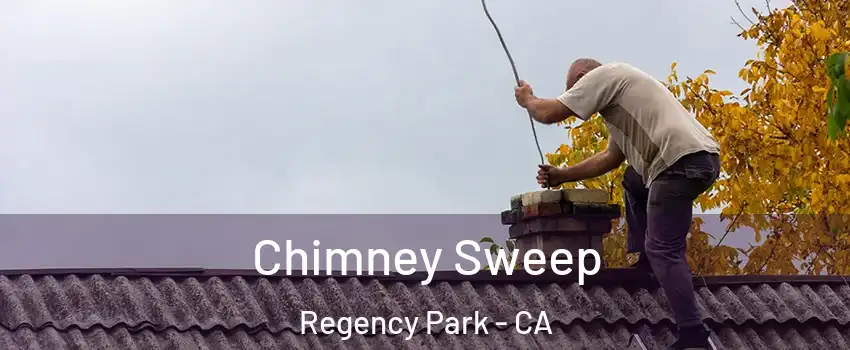 Chimney Sweep Regency Park - CA