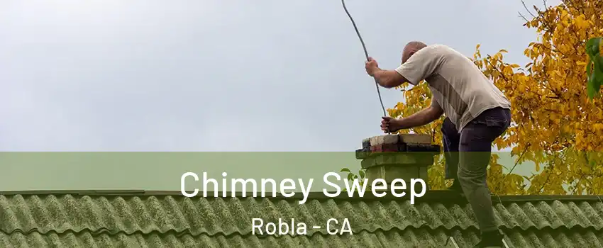 Chimney Sweep Robla - CA