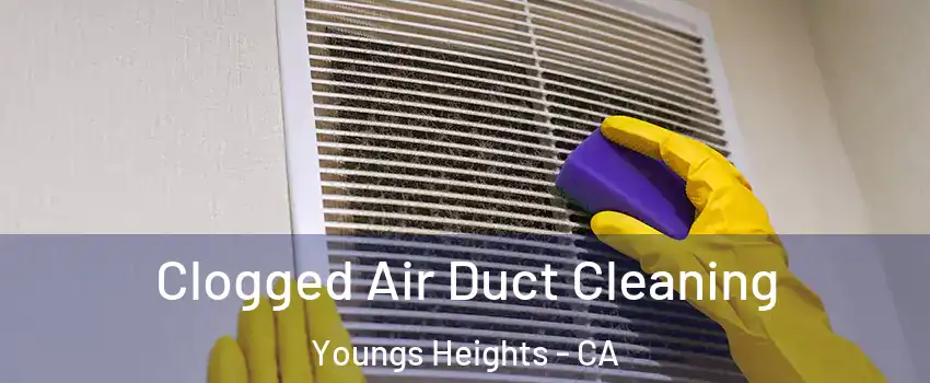 Clogged Air Duct Cleaning Youngs Heights - CA