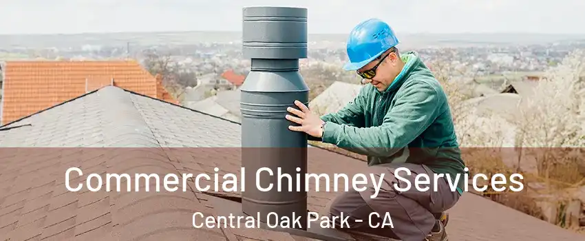 Commercial Chimney Services Central Oak Park - CA