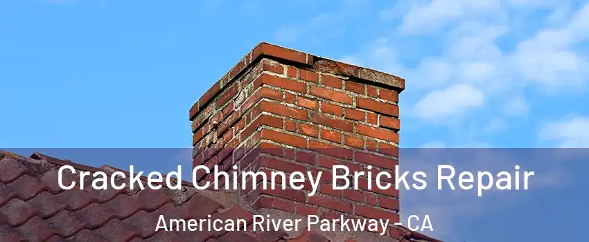 Cracked Chimney Bricks Repair American River Parkway - CA