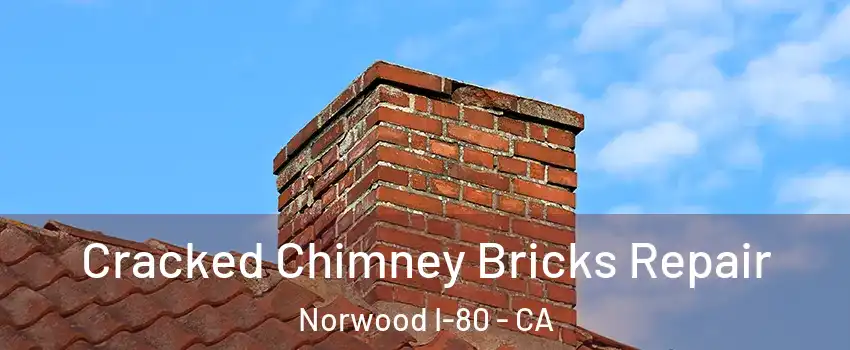 Cracked Chimney Bricks Repair Norwood I-80 - CA