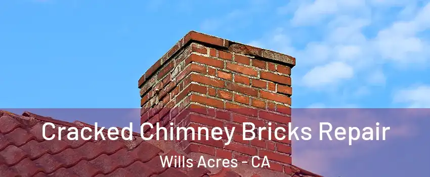 Cracked Chimney Bricks Repair Wills Acres - CA