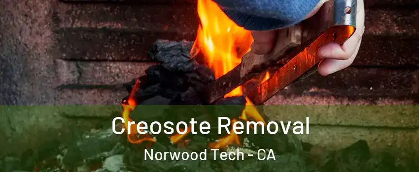 Creosote Removal Norwood Tech - CA