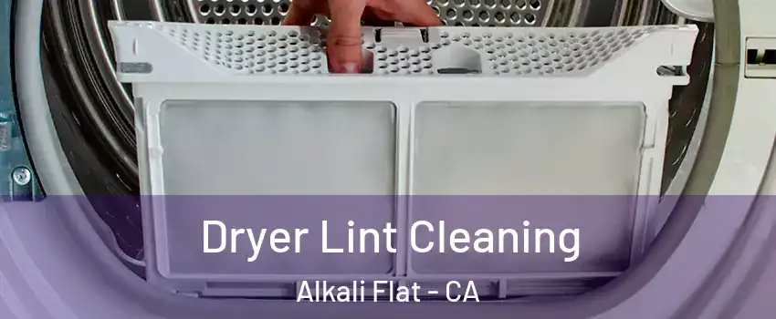 Dryer Lint Cleaning Alkali Flat - CA