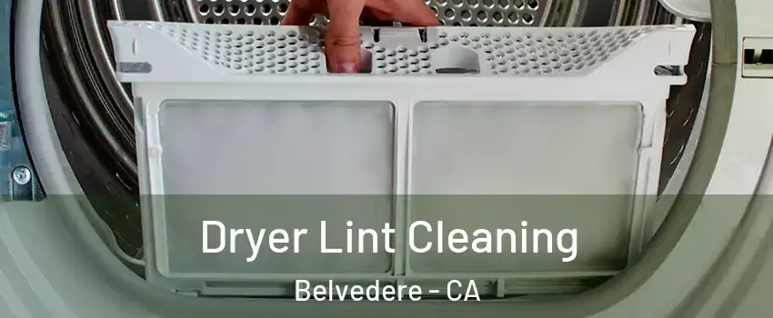 Dryer Lint Cleaning Belvedere - CA