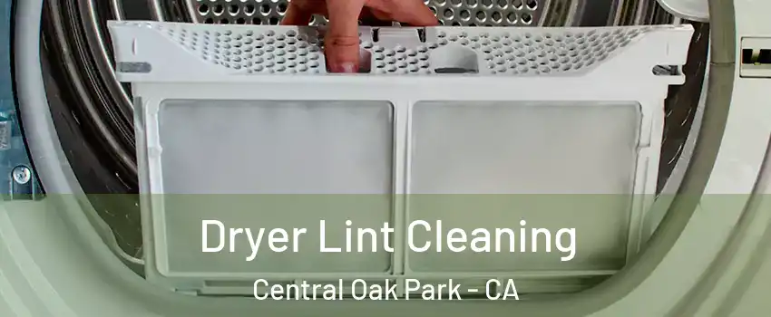 Dryer Lint Cleaning Central Oak Park - CA