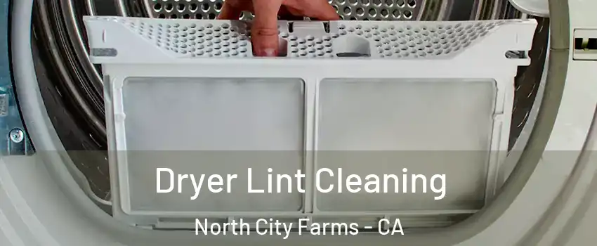 Dryer Lint Cleaning North City Farms - CA