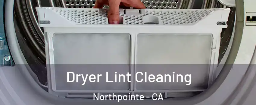 Dryer Lint Cleaning Northpointe - CA