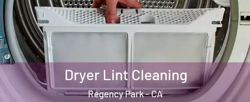 Dryer Lint Cleaning Regency Park - CA