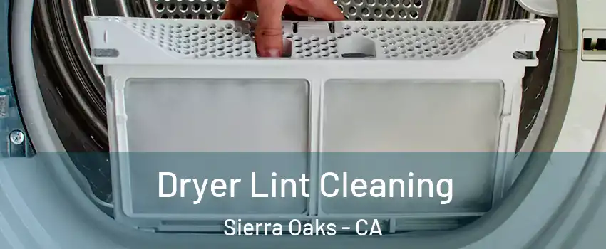 Dryer Lint Cleaning Sierra Oaks - CA