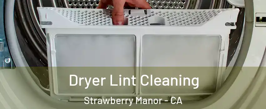 Dryer Lint Cleaning Strawberry Manor - CA