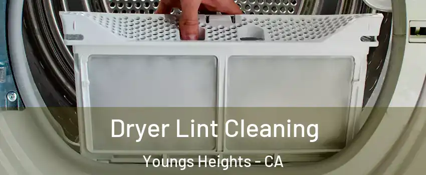 Dryer Lint Cleaning Youngs Heights - CA