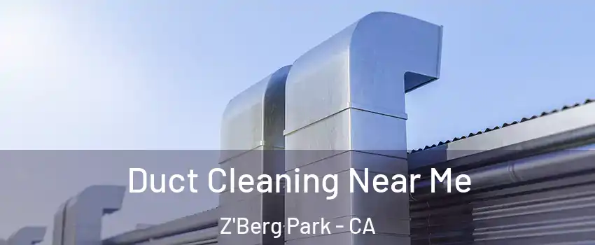 Duct Cleaning Near Me Z'Berg Park - CA