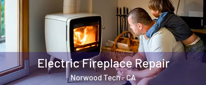 Electric Fireplace Repair Norwood Tech - CA