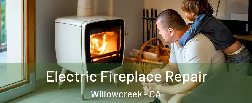 Electric Fireplace Repair Willowcreek - CA