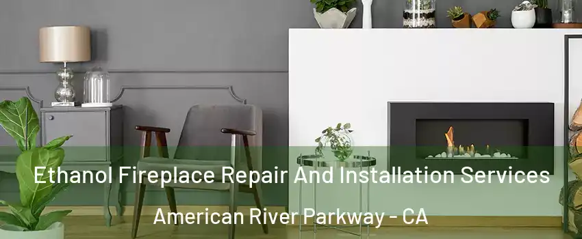 Ethanol Fireplace Repair And Installation Services American River Parkway - CA