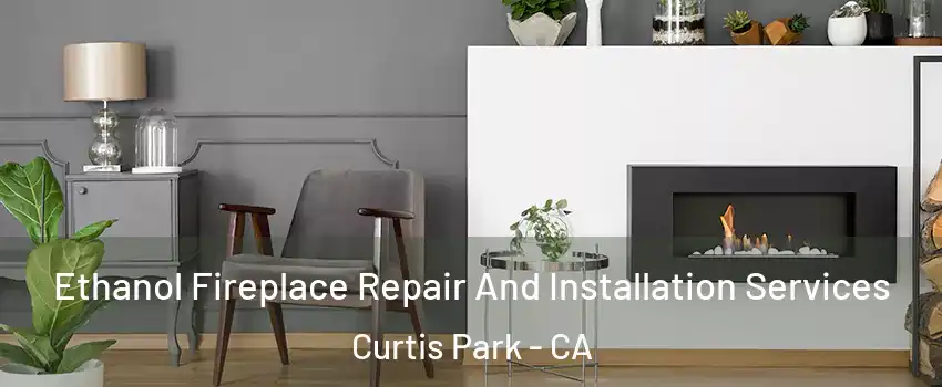 Ethanol Fireplace Repair And Installation Services Curtis Park - CA