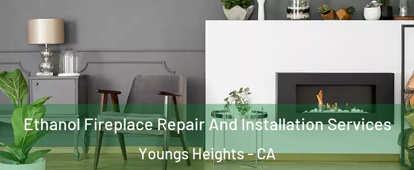 Ethanol Fireplace Repair And Installation Services Youngs Heights - CA